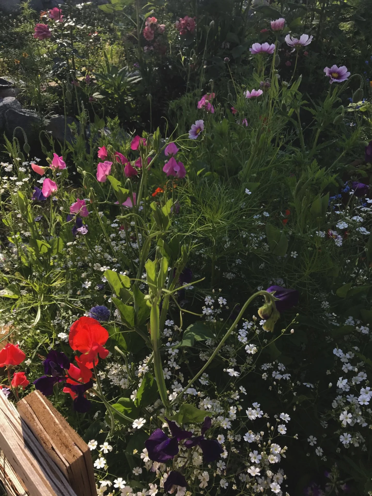 FD36A6FF-FEB8-4523-8F01-E0D541563D94