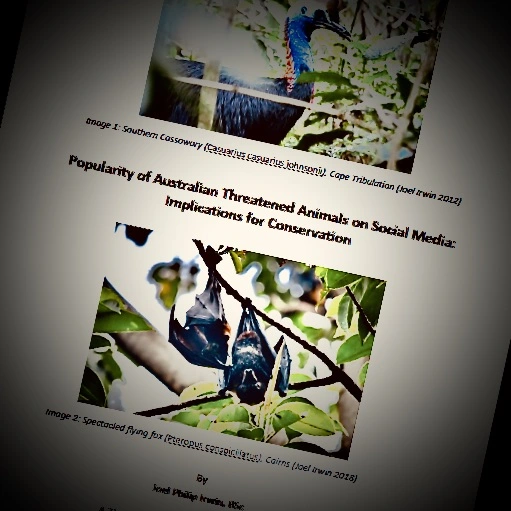 Finished my Honours Thesis!!!