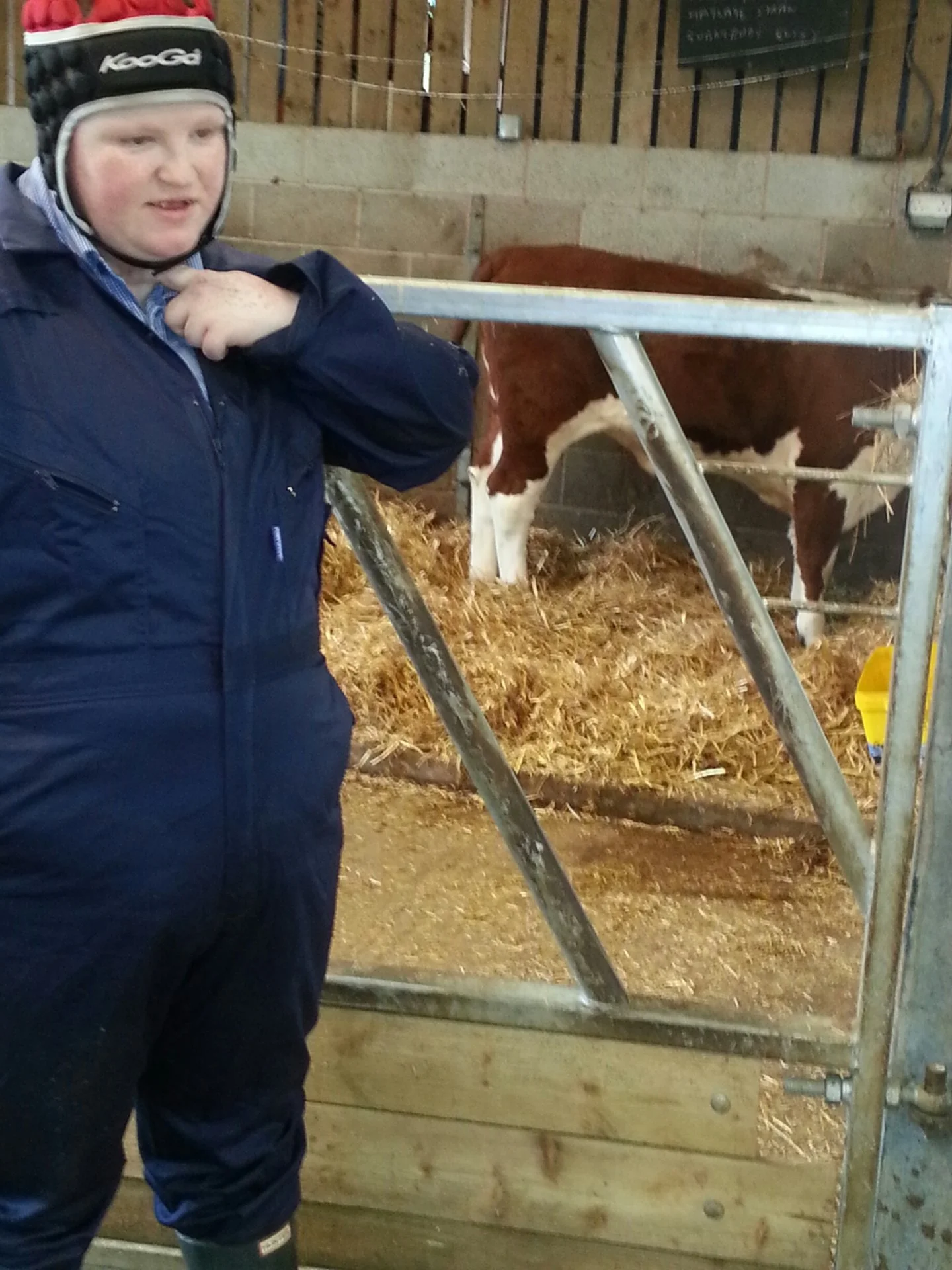 first attempt at voluntary work