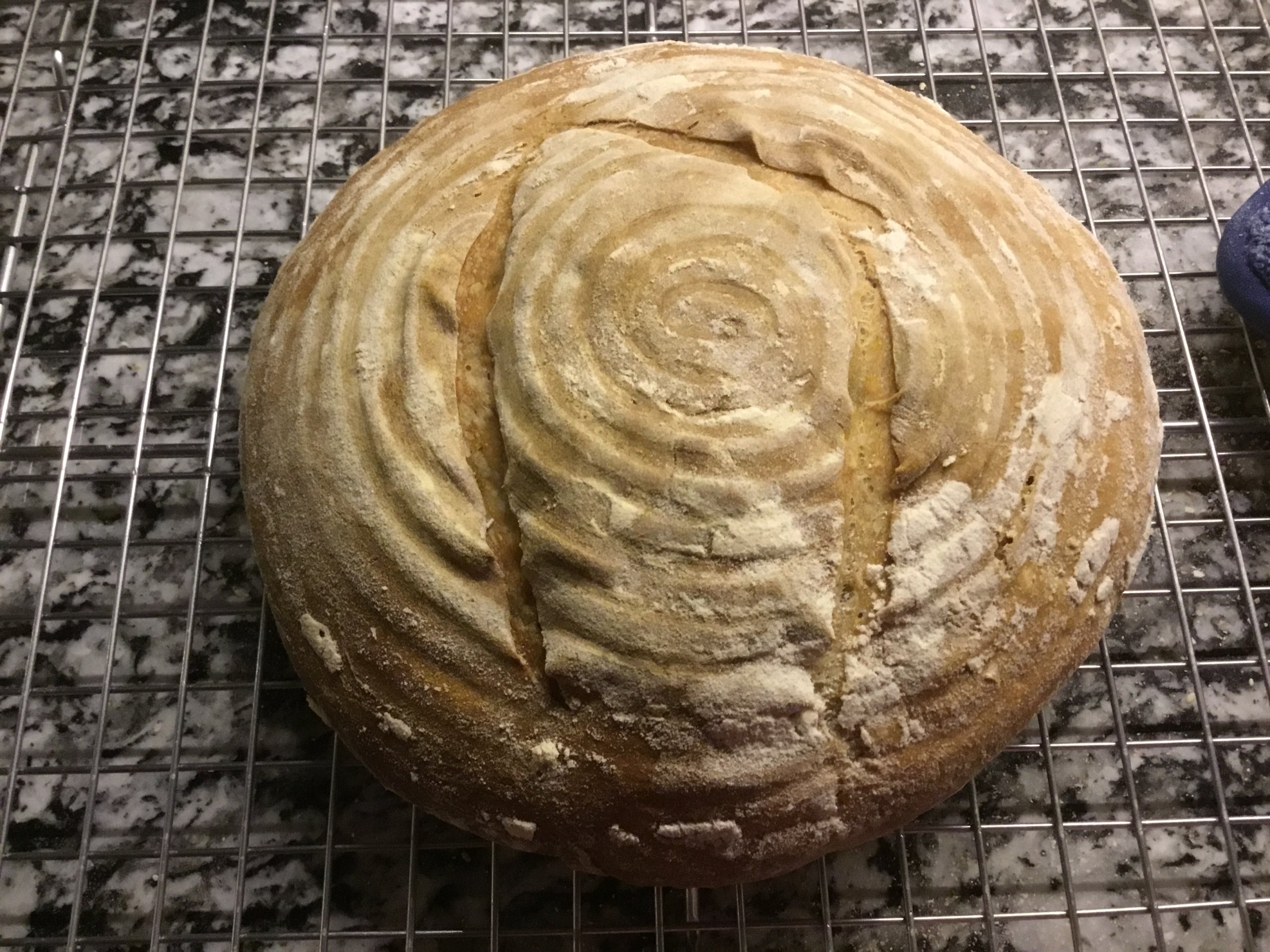 First loaf of bread using a Banneton