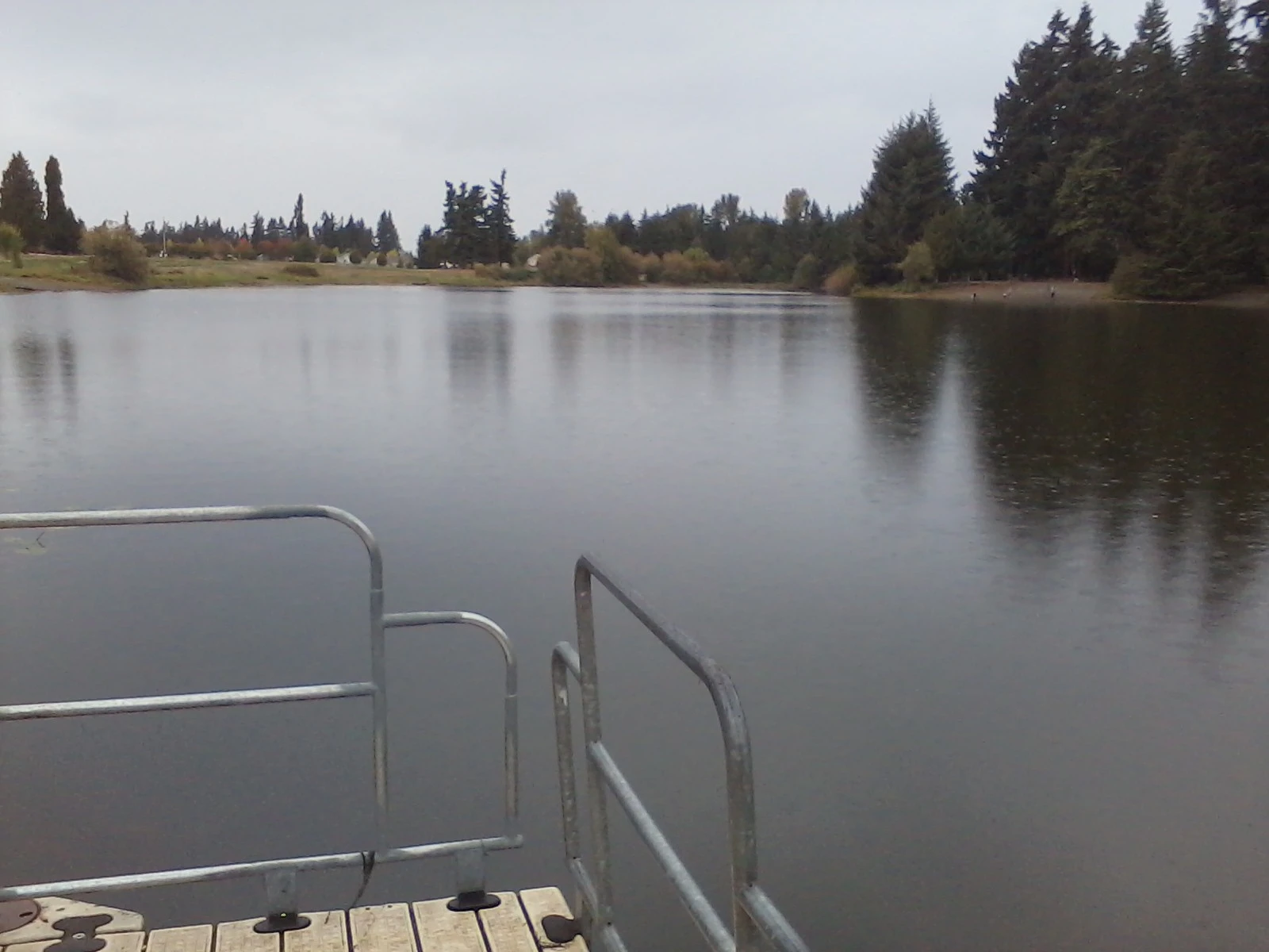 fishing dock where i have caught a many a fish