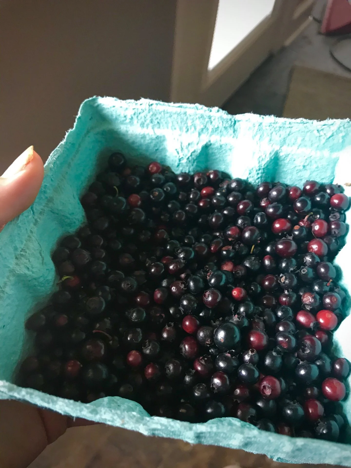 Foraged blueberries