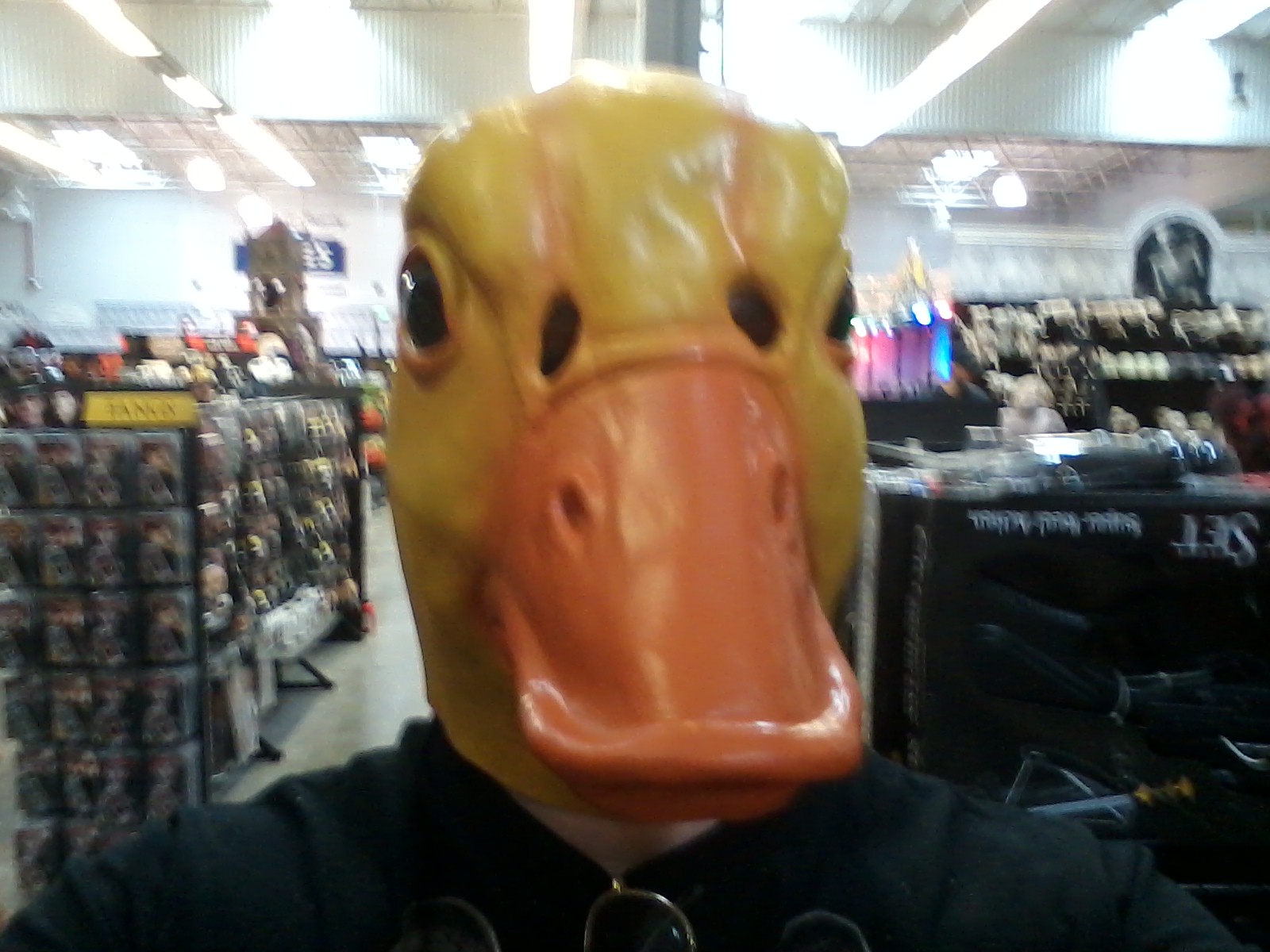 Gary The Duck