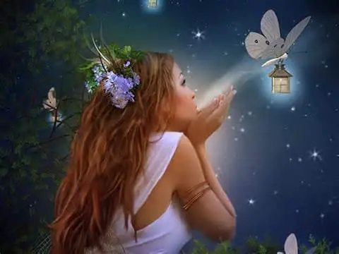 god speed little moth