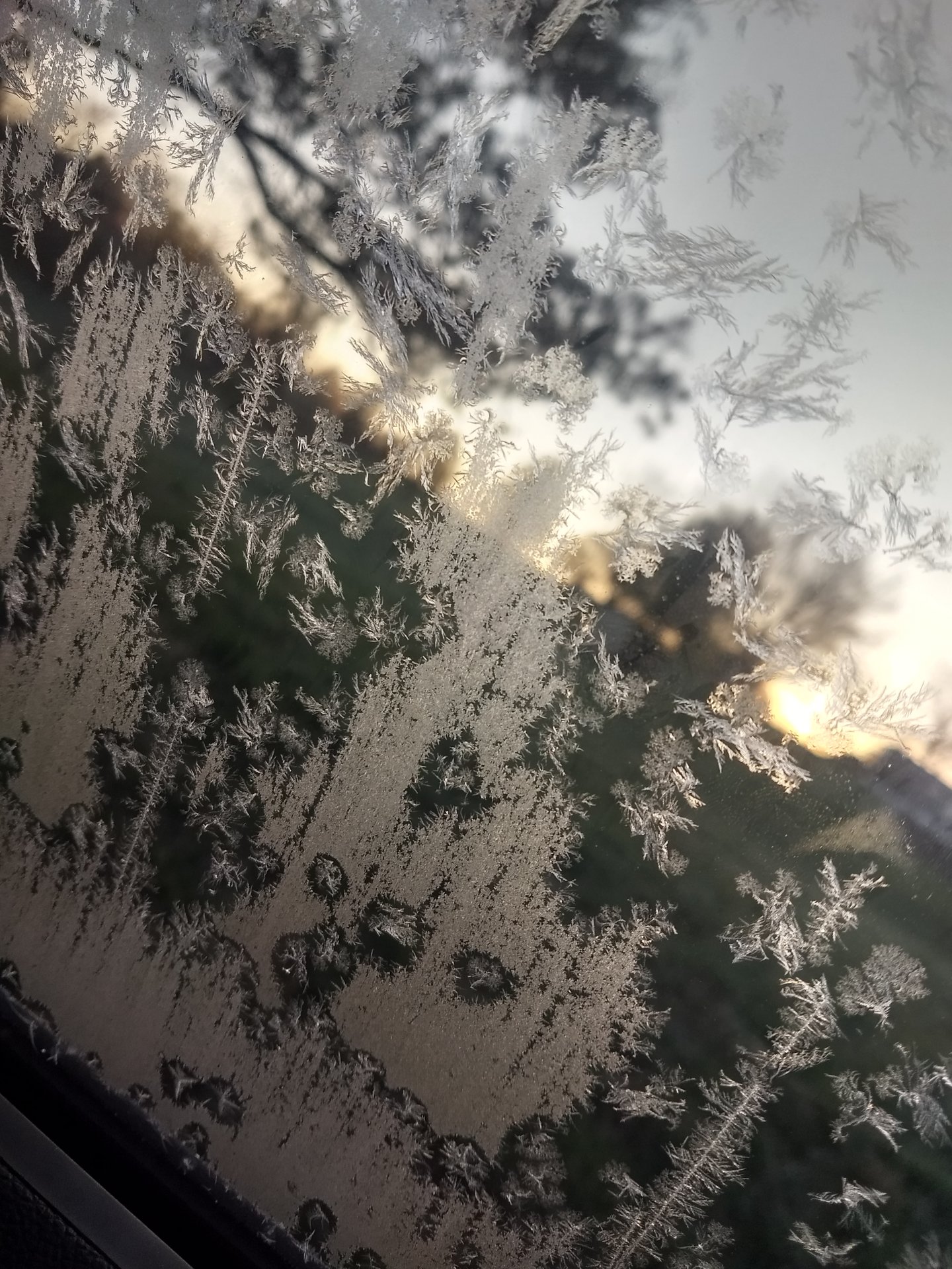 Iced Car Window