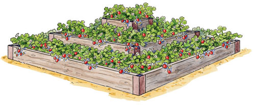 Idea for a strawberry raised bed.