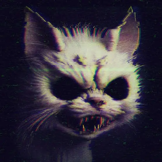 images - 2023-06-27T192732.502.jpeg