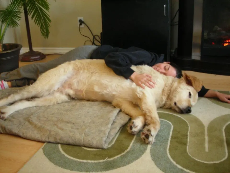 Jess and Sherpa snoozing