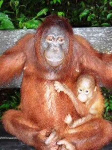 Joanna and adopted baby 225x300