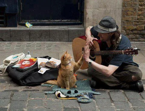 kitty and guitarist