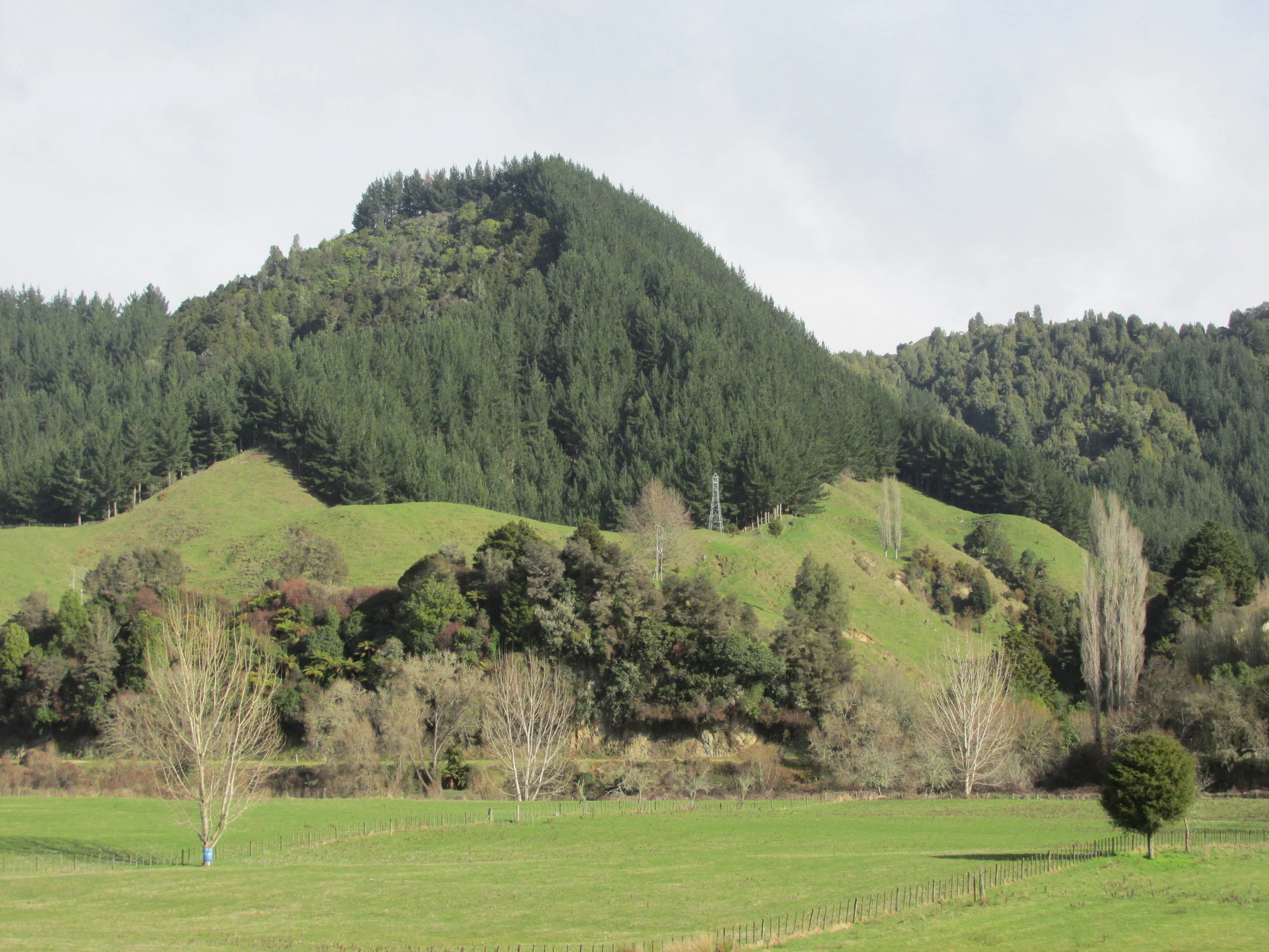 Kiwi countryside