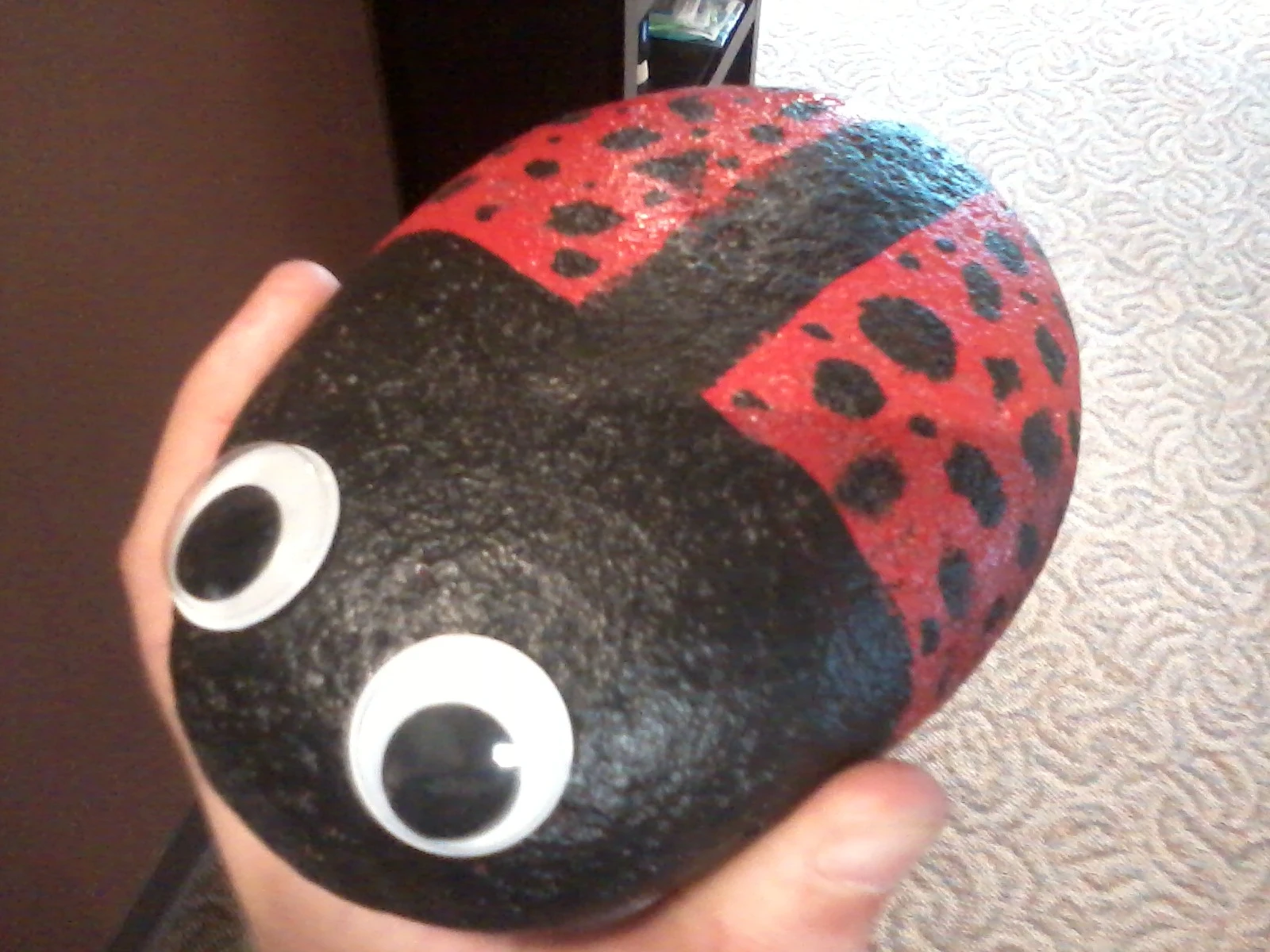 ladybug rock