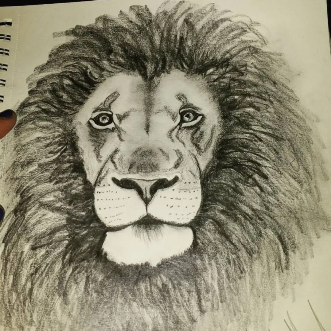 Lion.webp