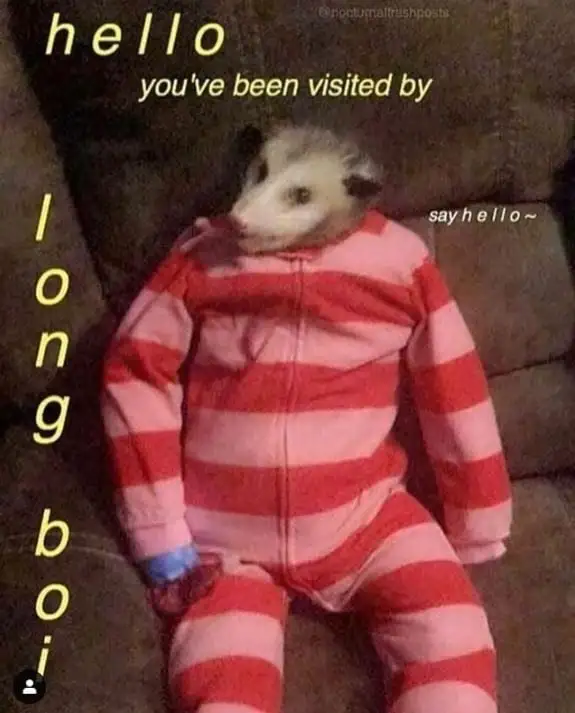 long boi