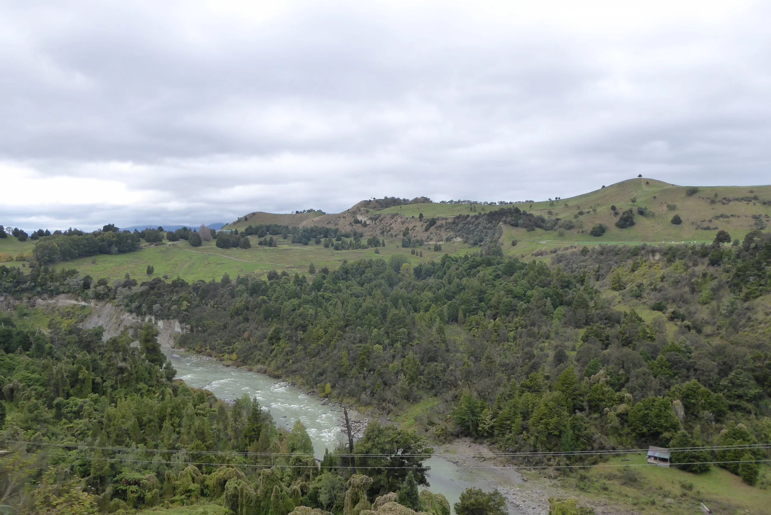 Looks Like Another River--Wellington Trip 2018