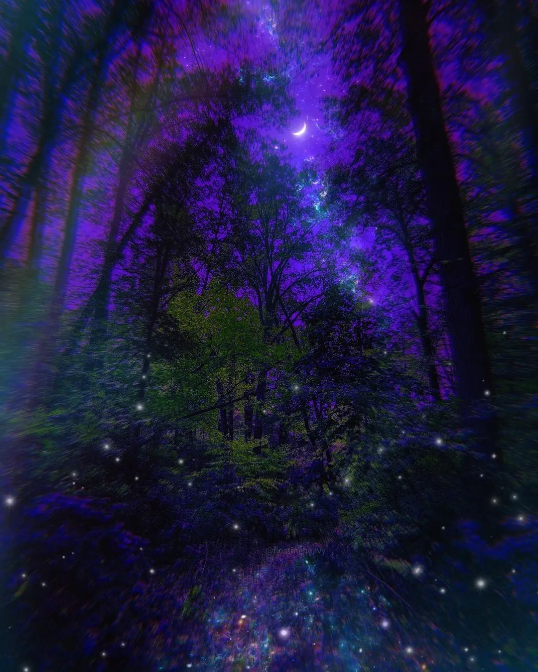 Magic Forest