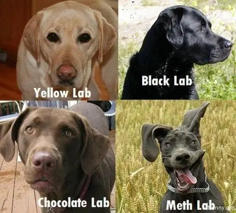 Meth Lab...?