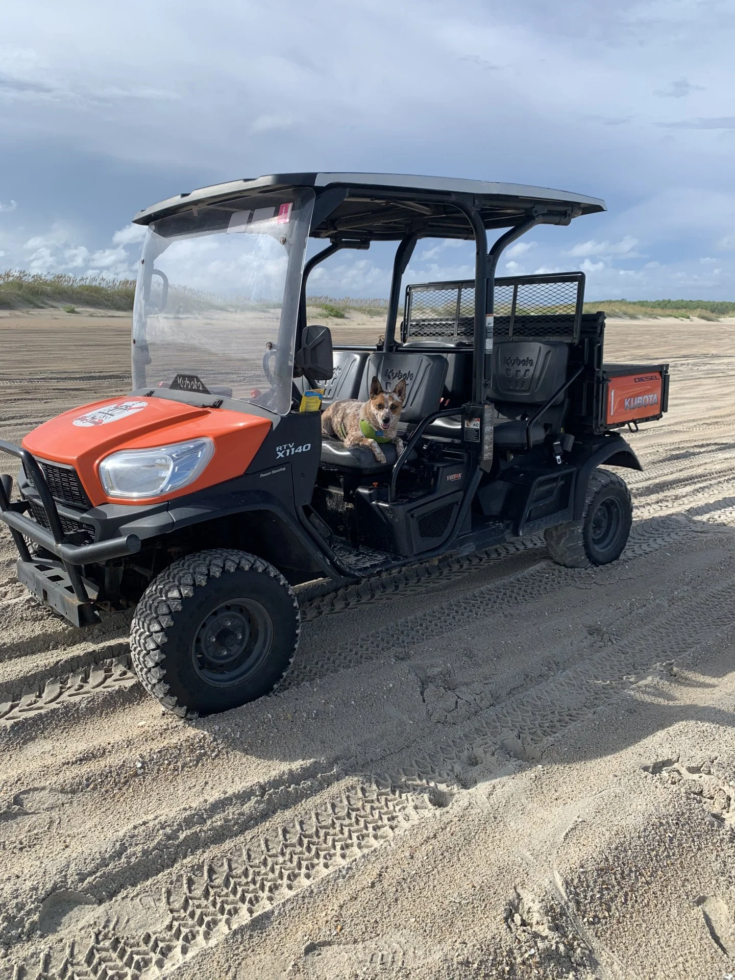 My "dog"ughter on another wild adventure with her mommas.