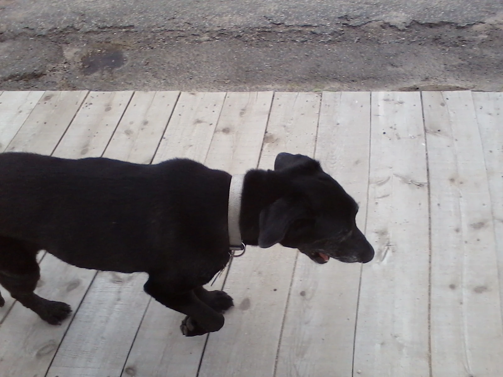 my friend i meet in virginia city montana