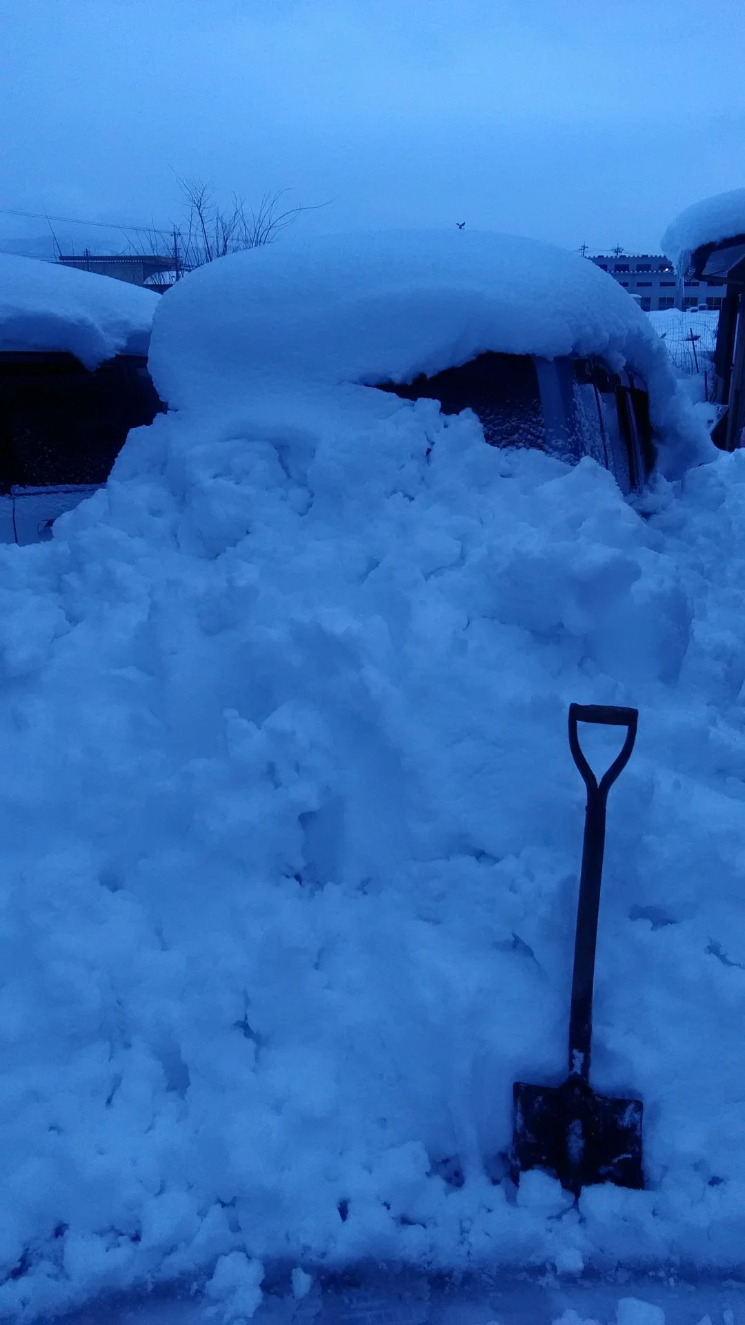 My poor car.. buried in snow.