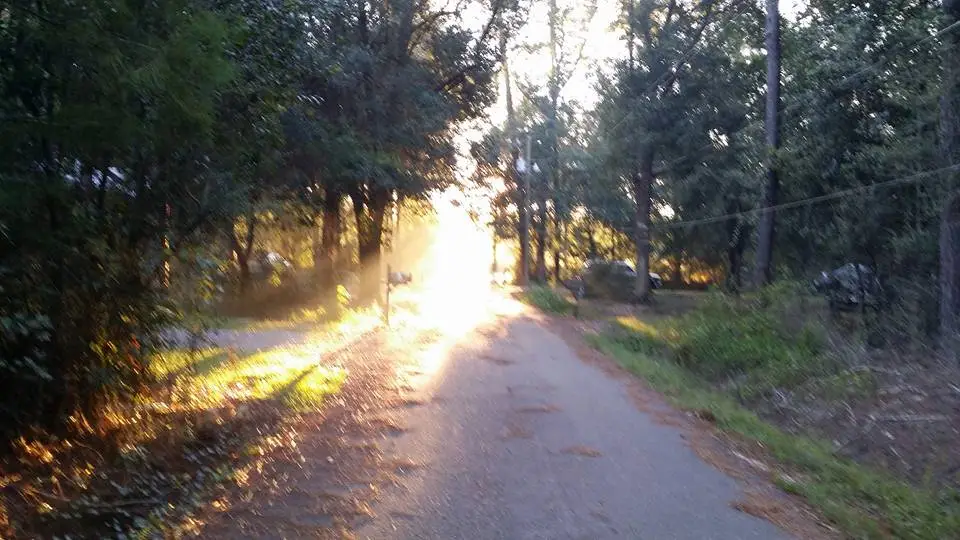 My Street
