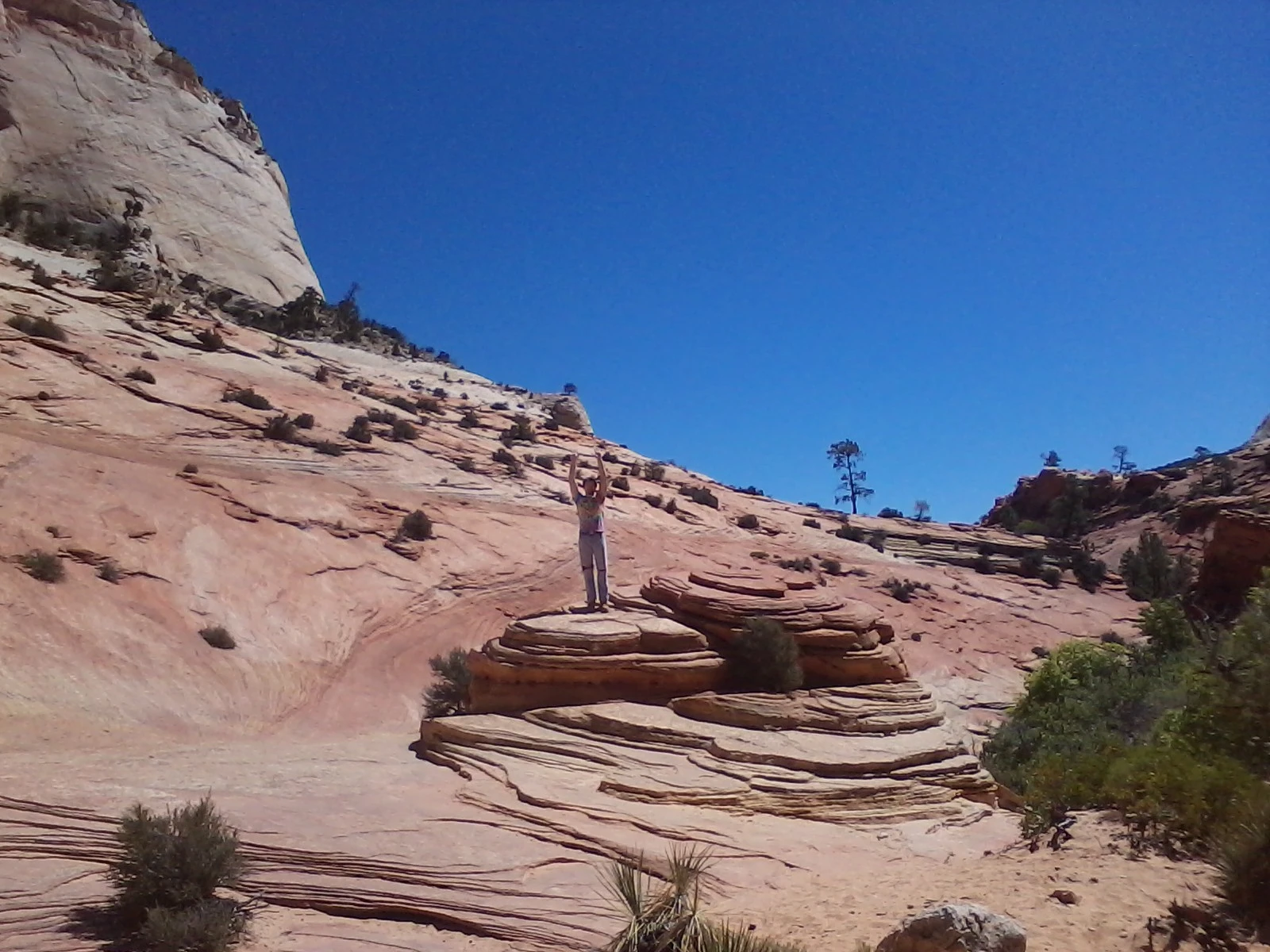 near zion national park utah