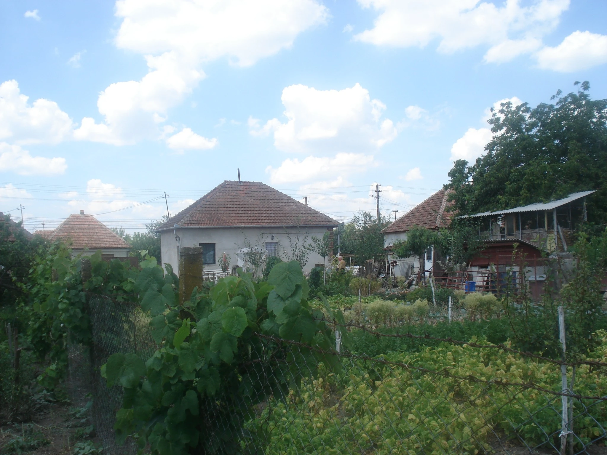 Neighbours House