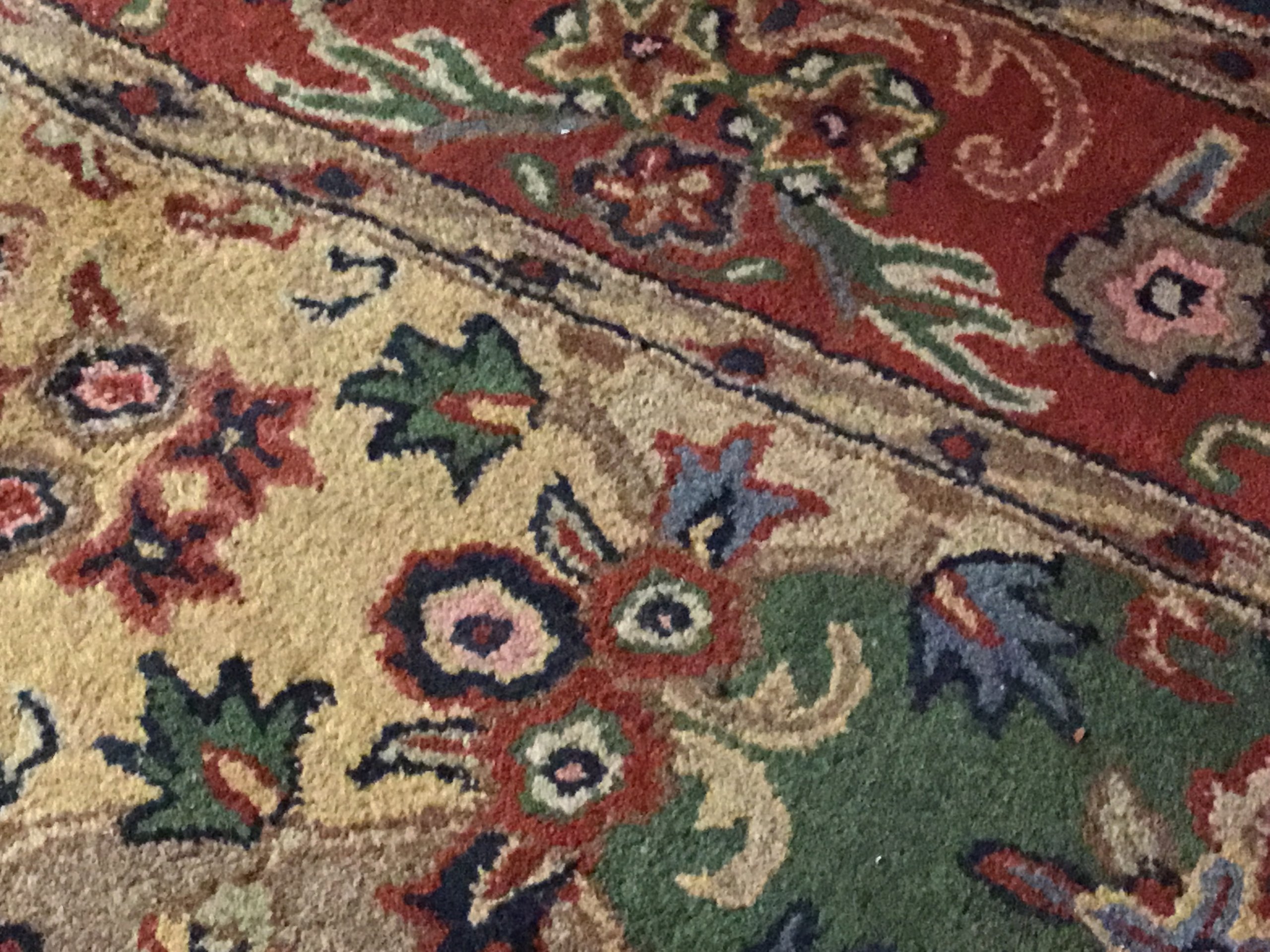 New wool rug..colors!