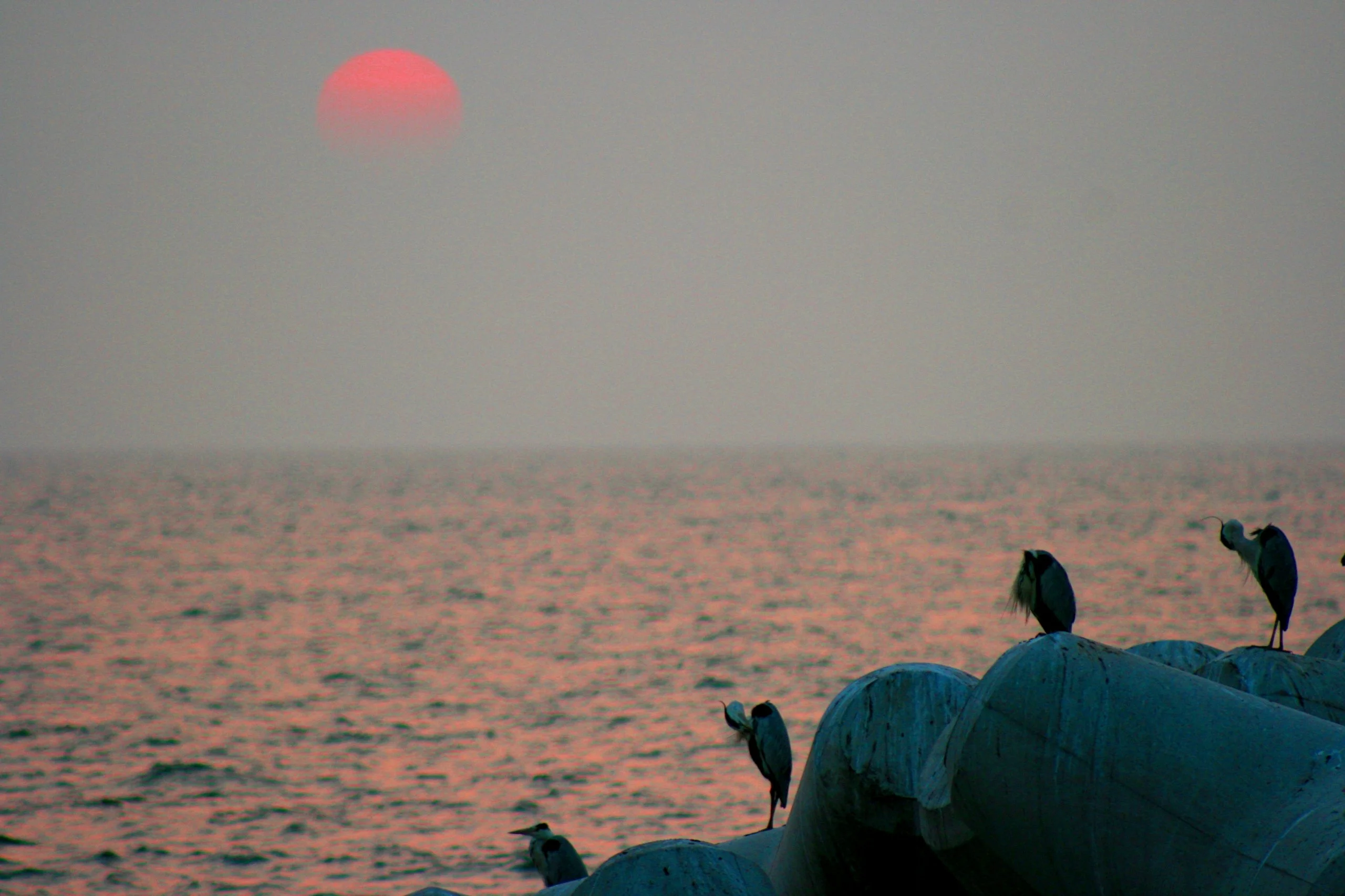 Ocean sunset