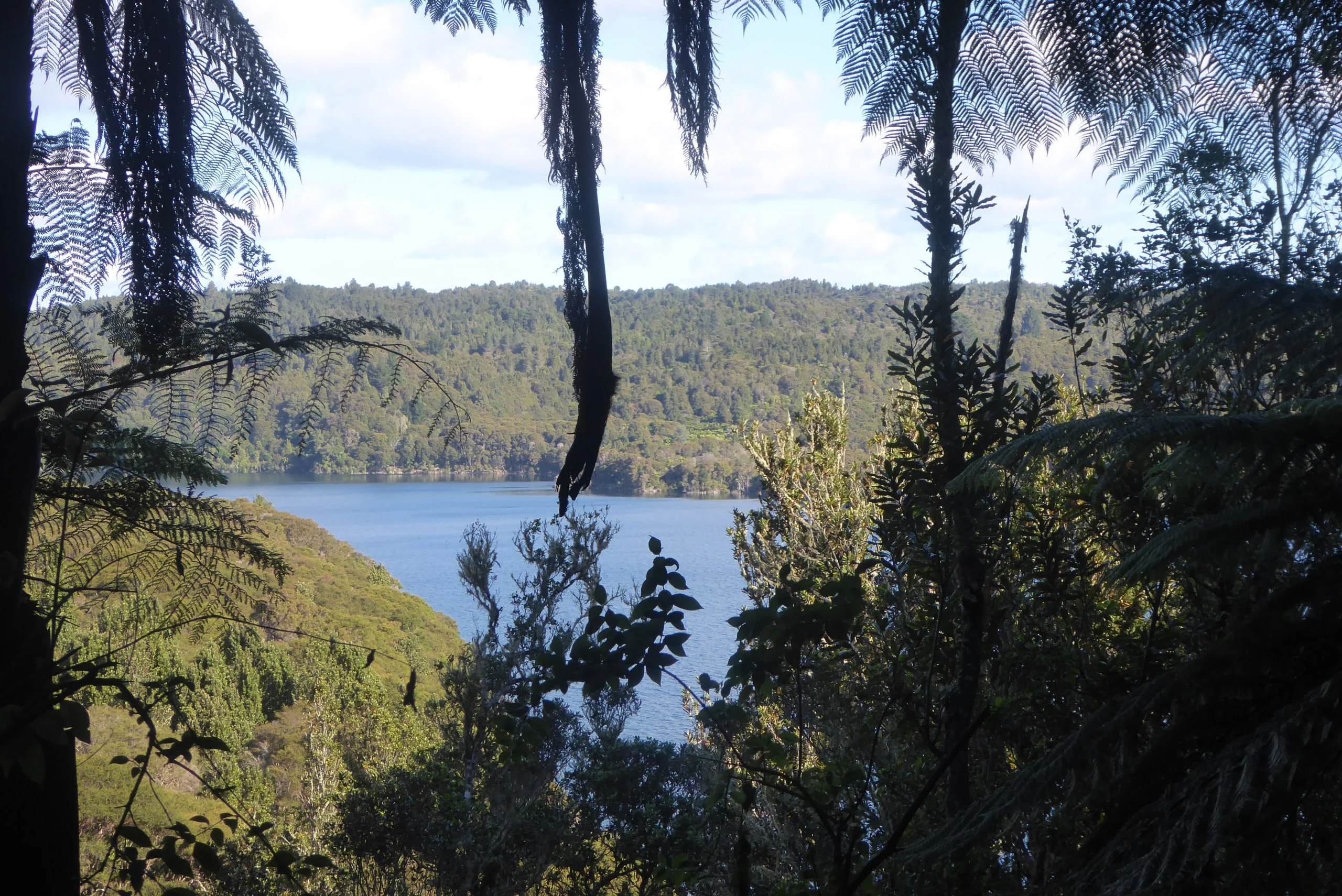 On a Weird Peninsula---Lake Okataina