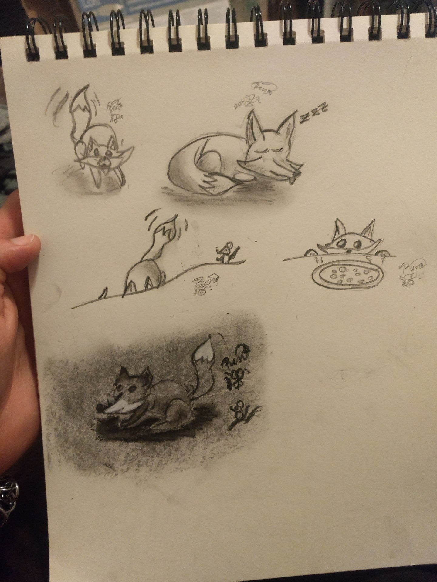 Page of Foxes