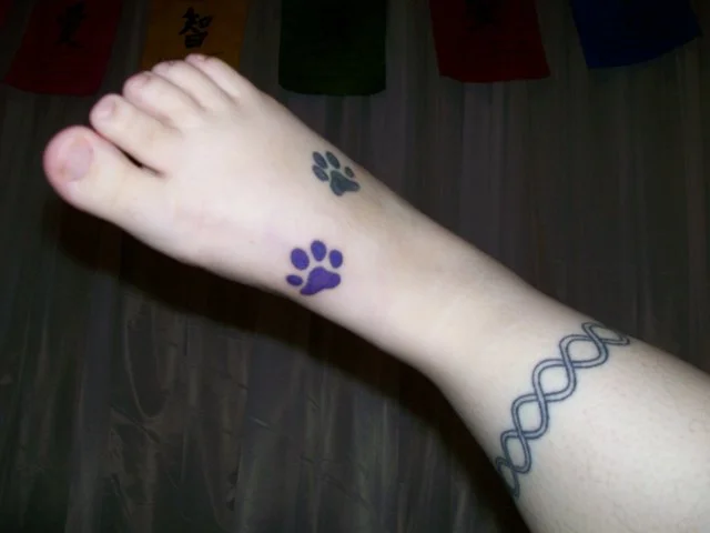 pawprints