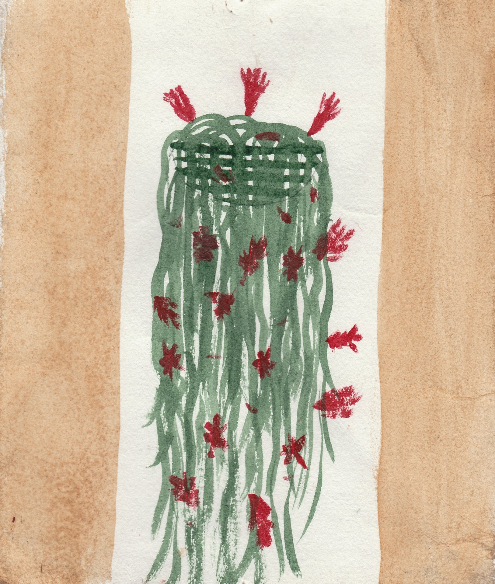 Rattail Cactus 2