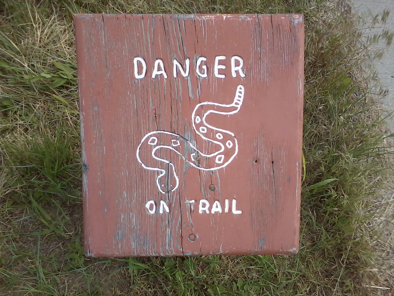 rattlesnake warning