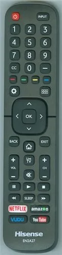 Roku master remote