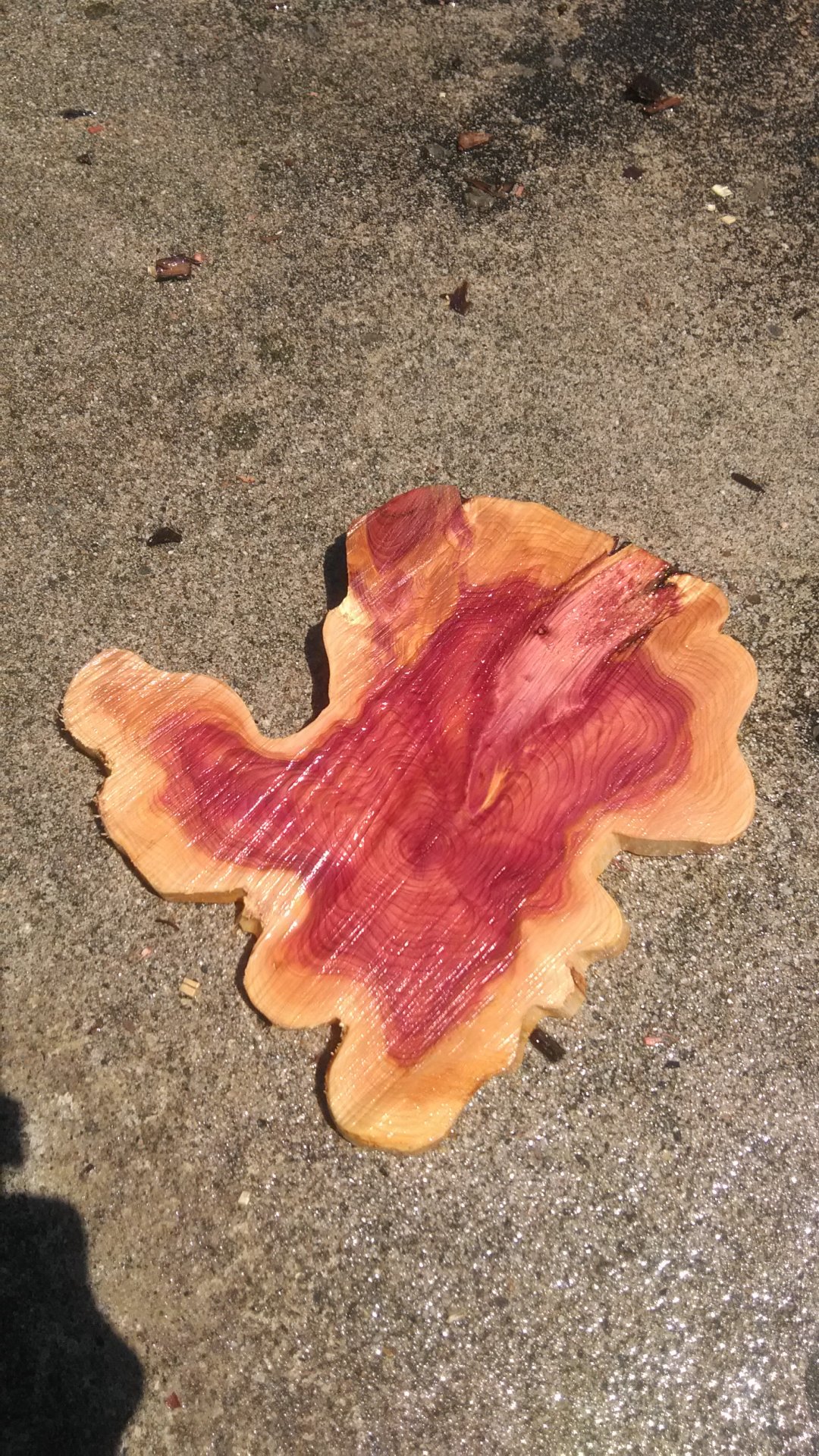 Roughly worked cedar cutting board or decorative piece.