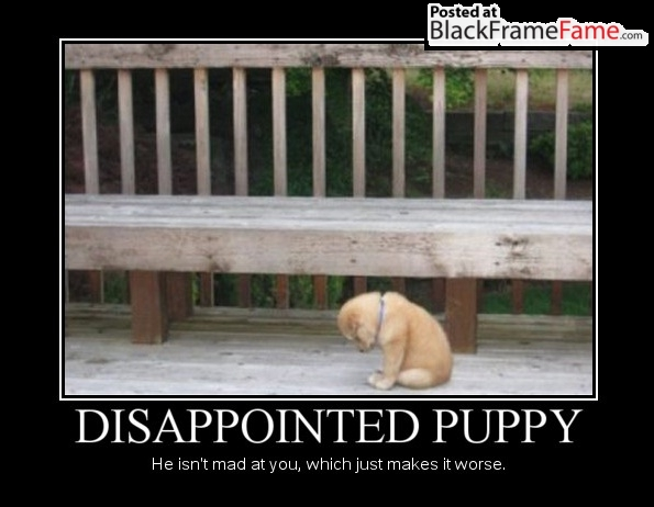 Sad Puppy