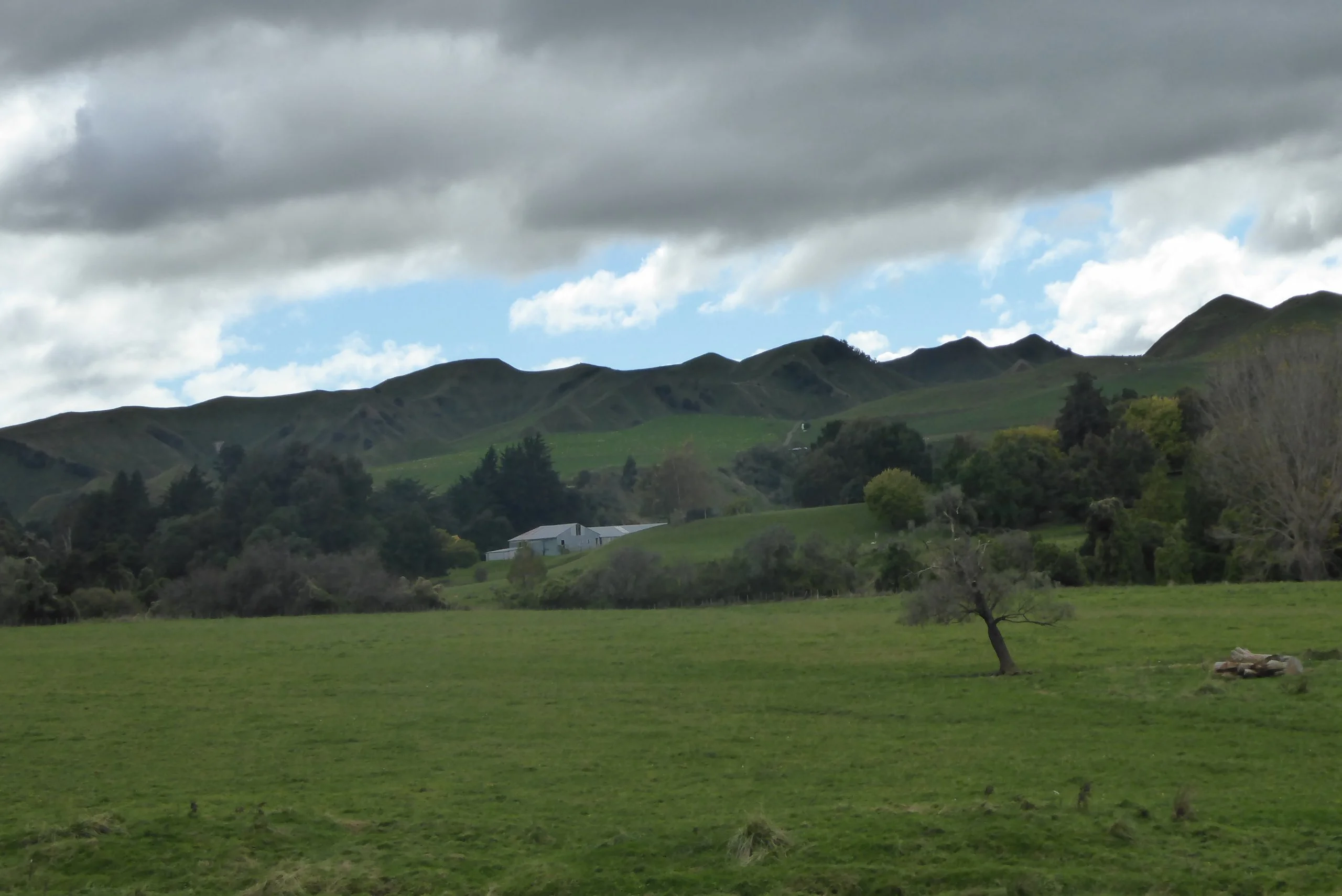 Scenery--Wellington Trip 2018