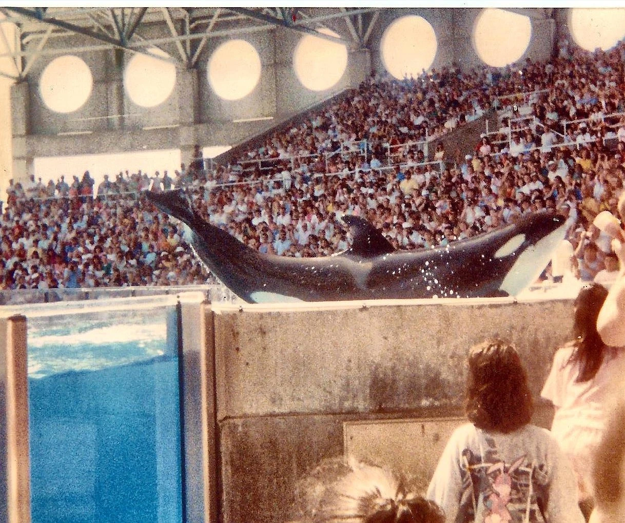 Seaworld 88'