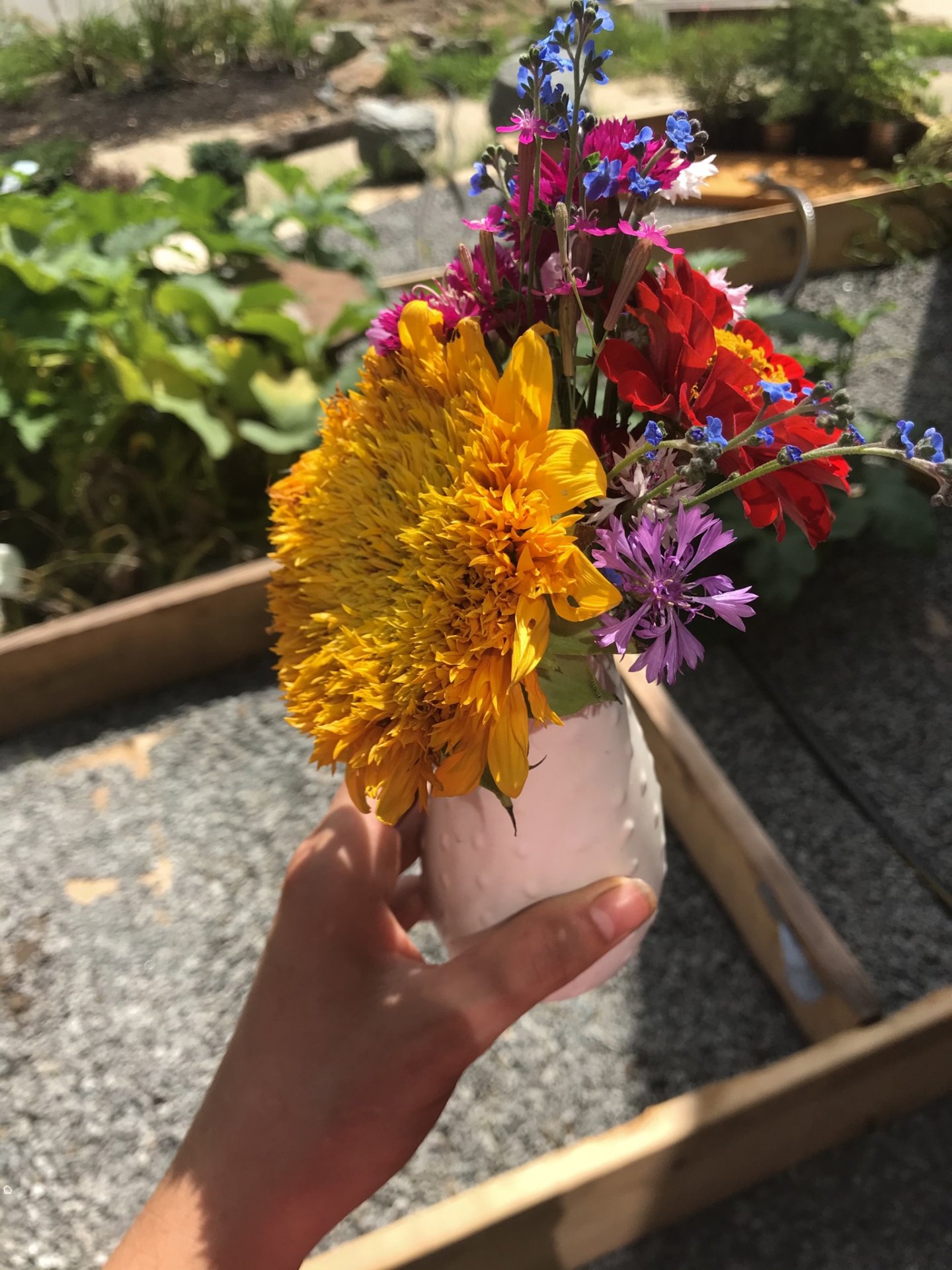 Seed-grown bouquet