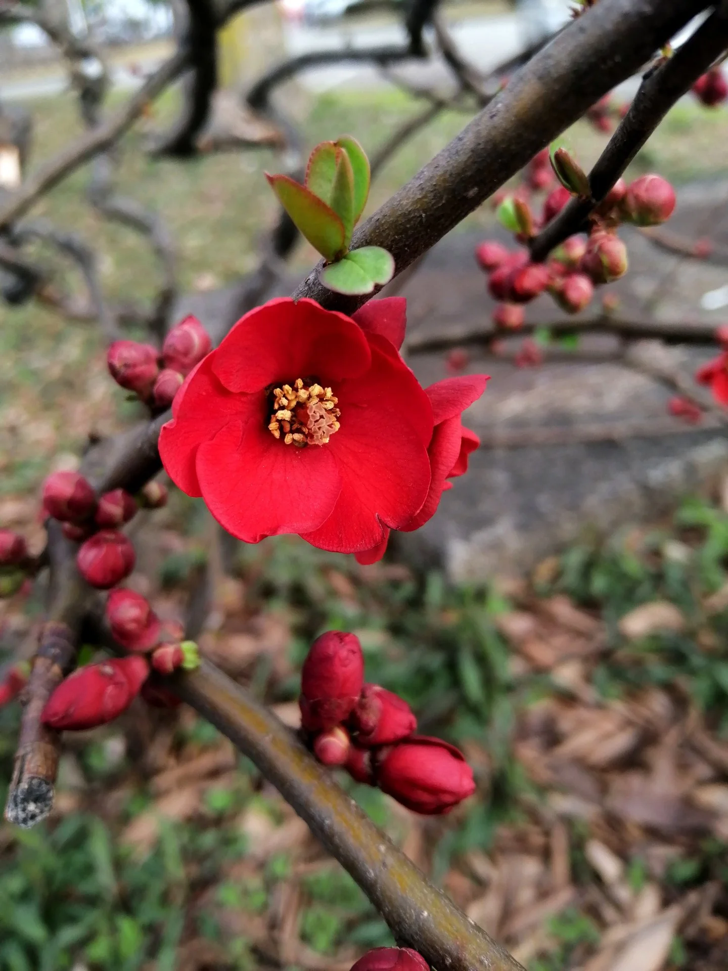 Signs of spring