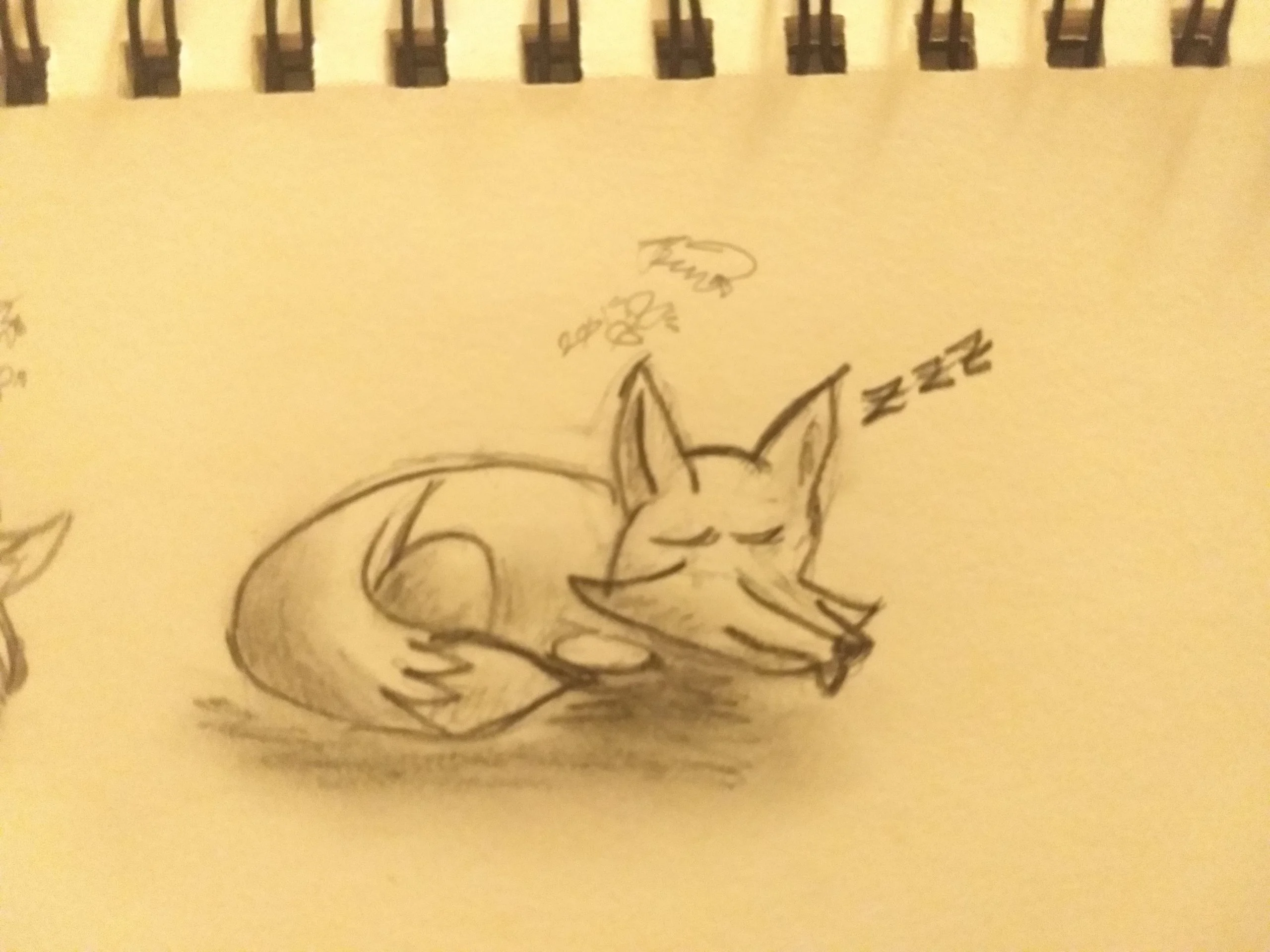 Sleeping Fox