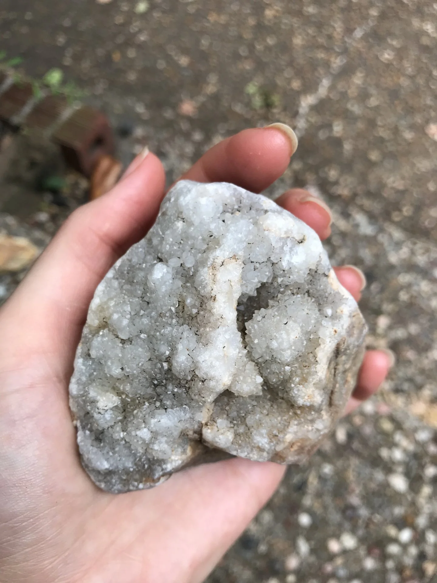 Smoky quartz druzy crystals