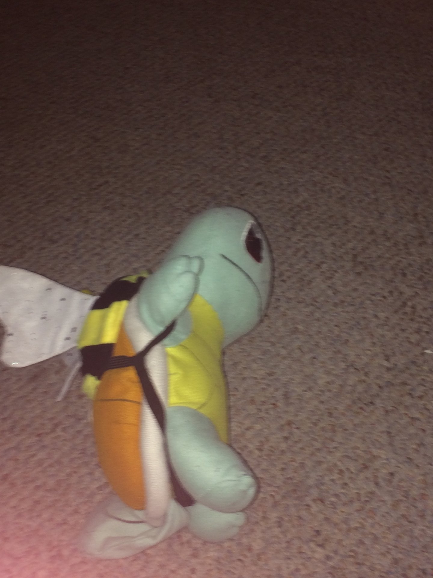Squirtle wanted to be a bee for halloween
