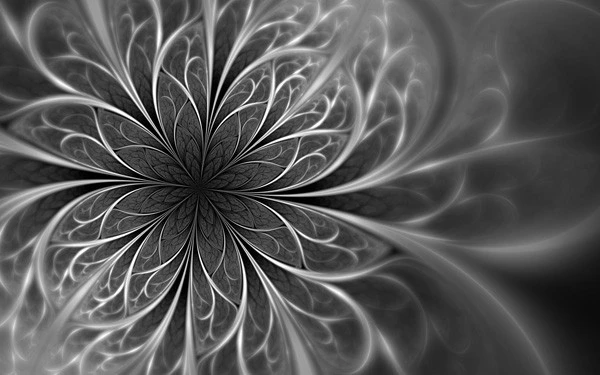 Stunning-fractal-020