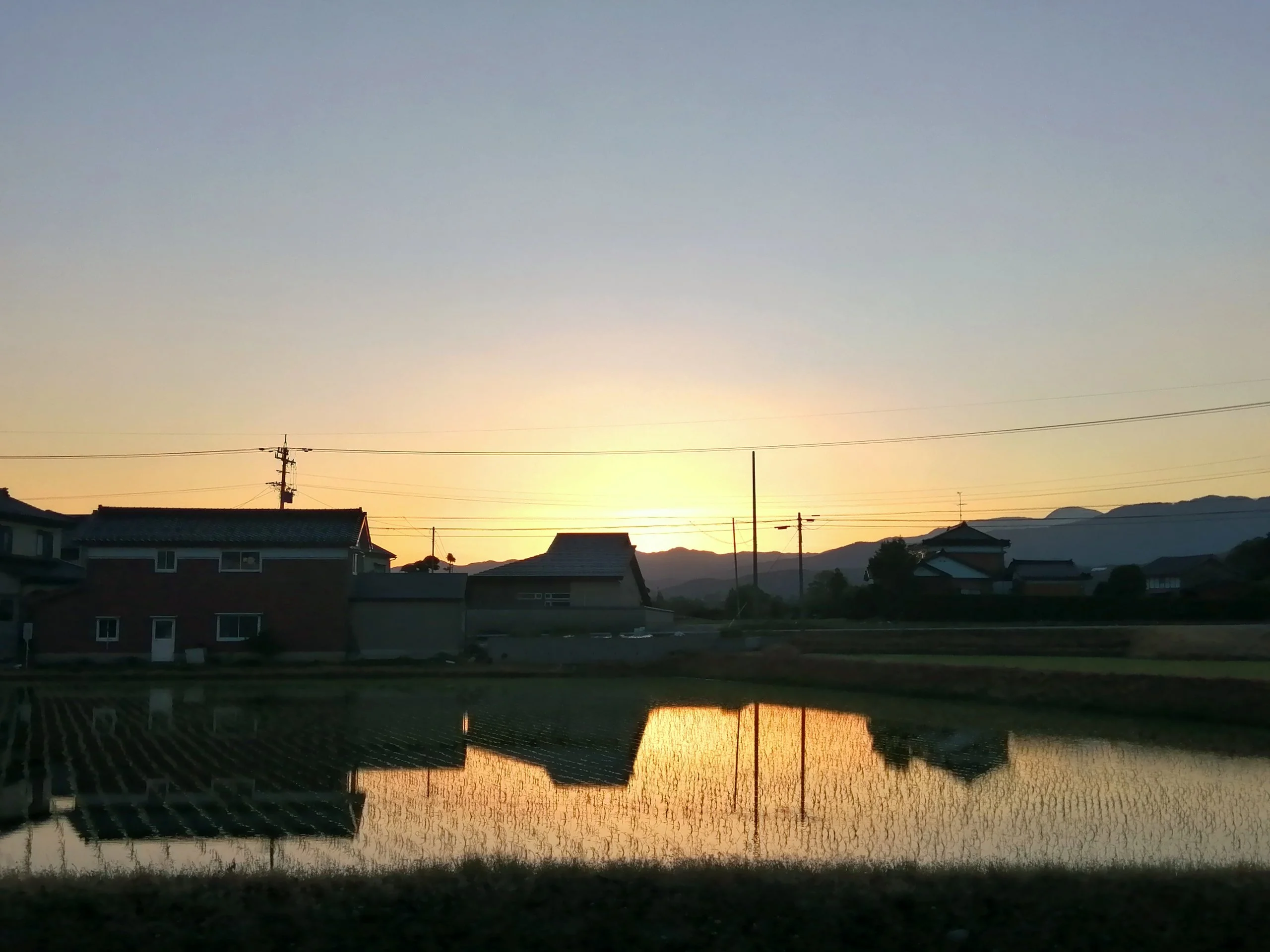 Sunrise off the rice patty