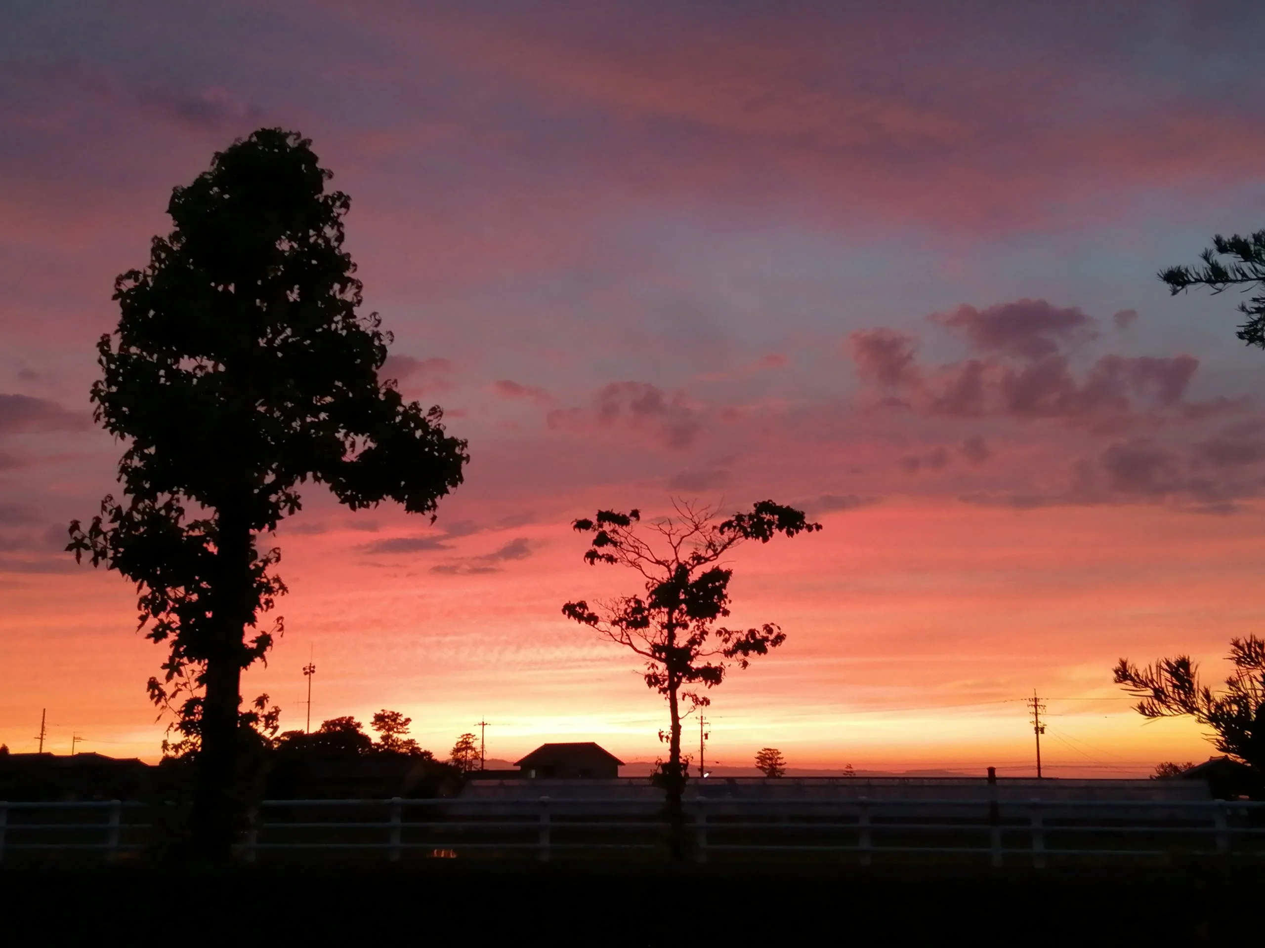 Sunset in front of the house.