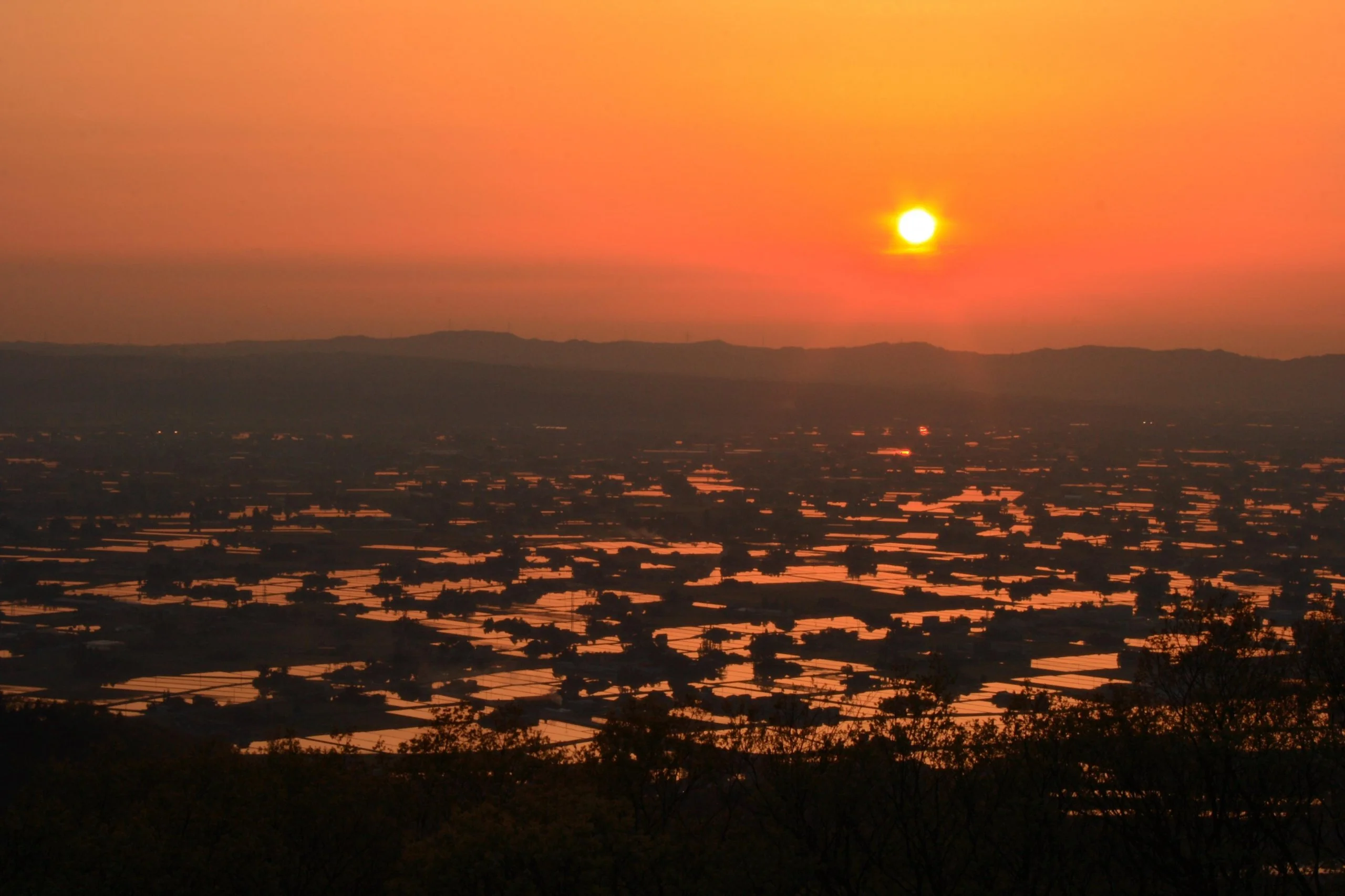 Sunset over rice patties