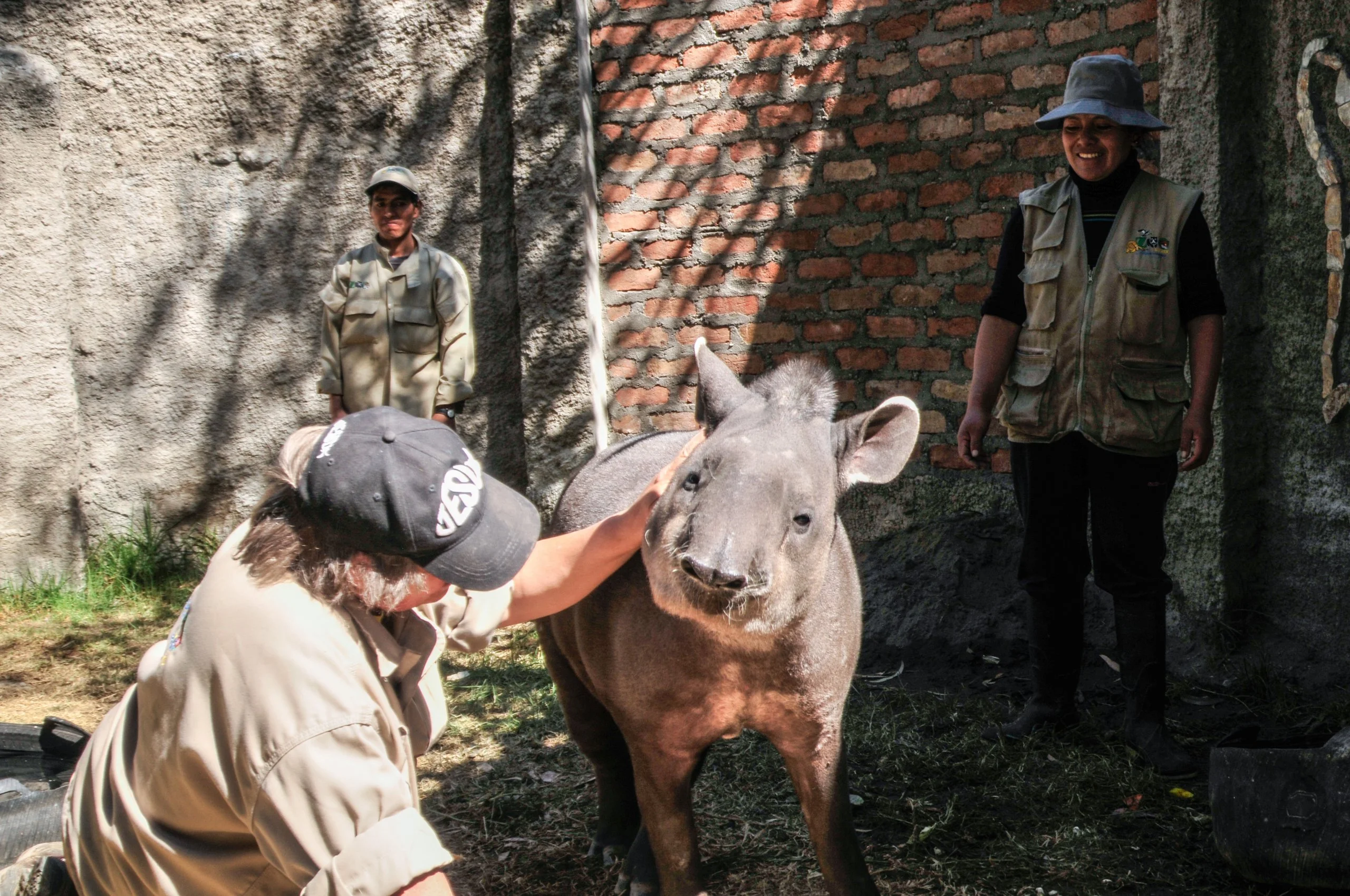 TAPIR 4