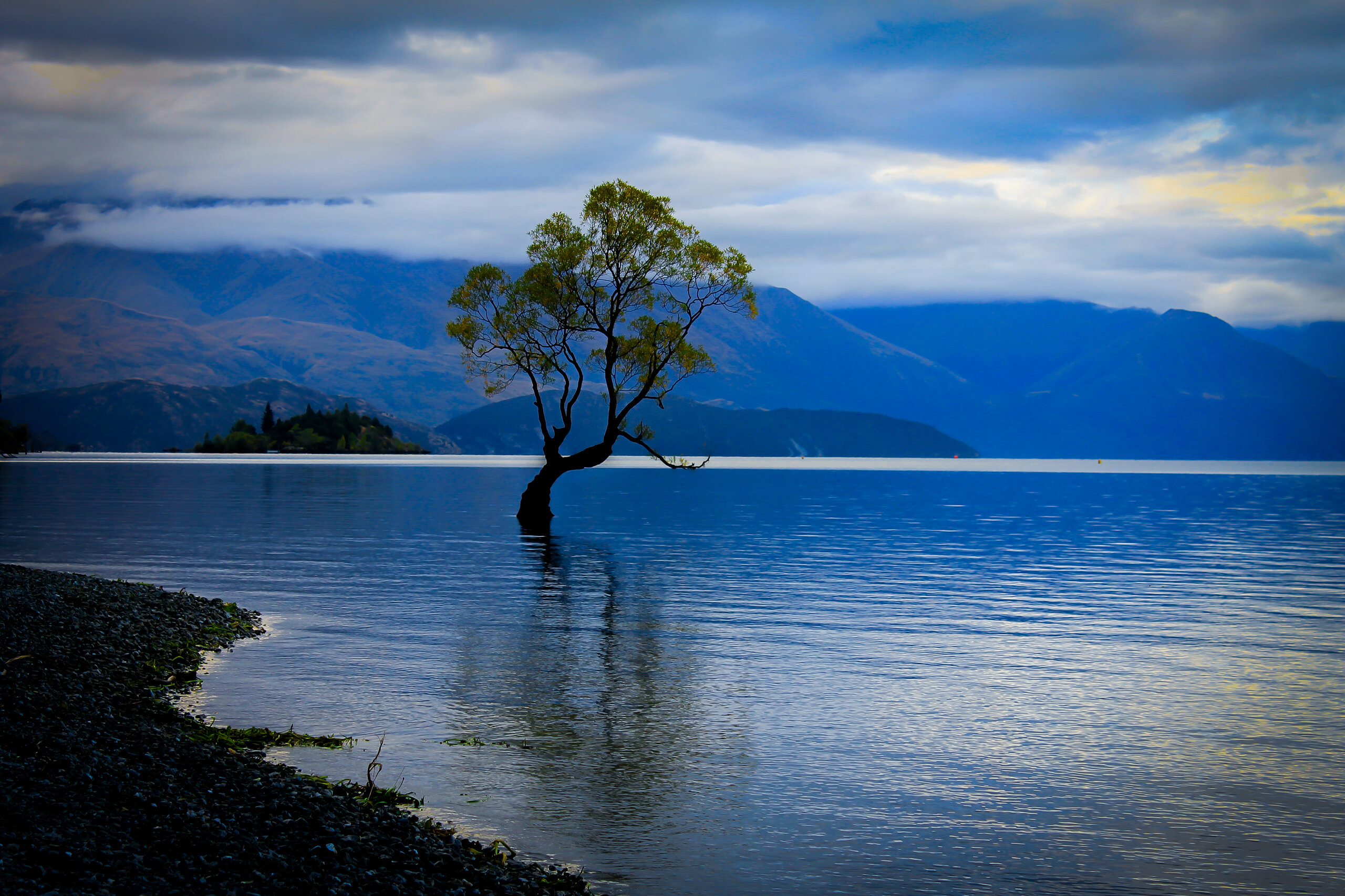 That Wanaka Tree, Wanaka, New Zealand
